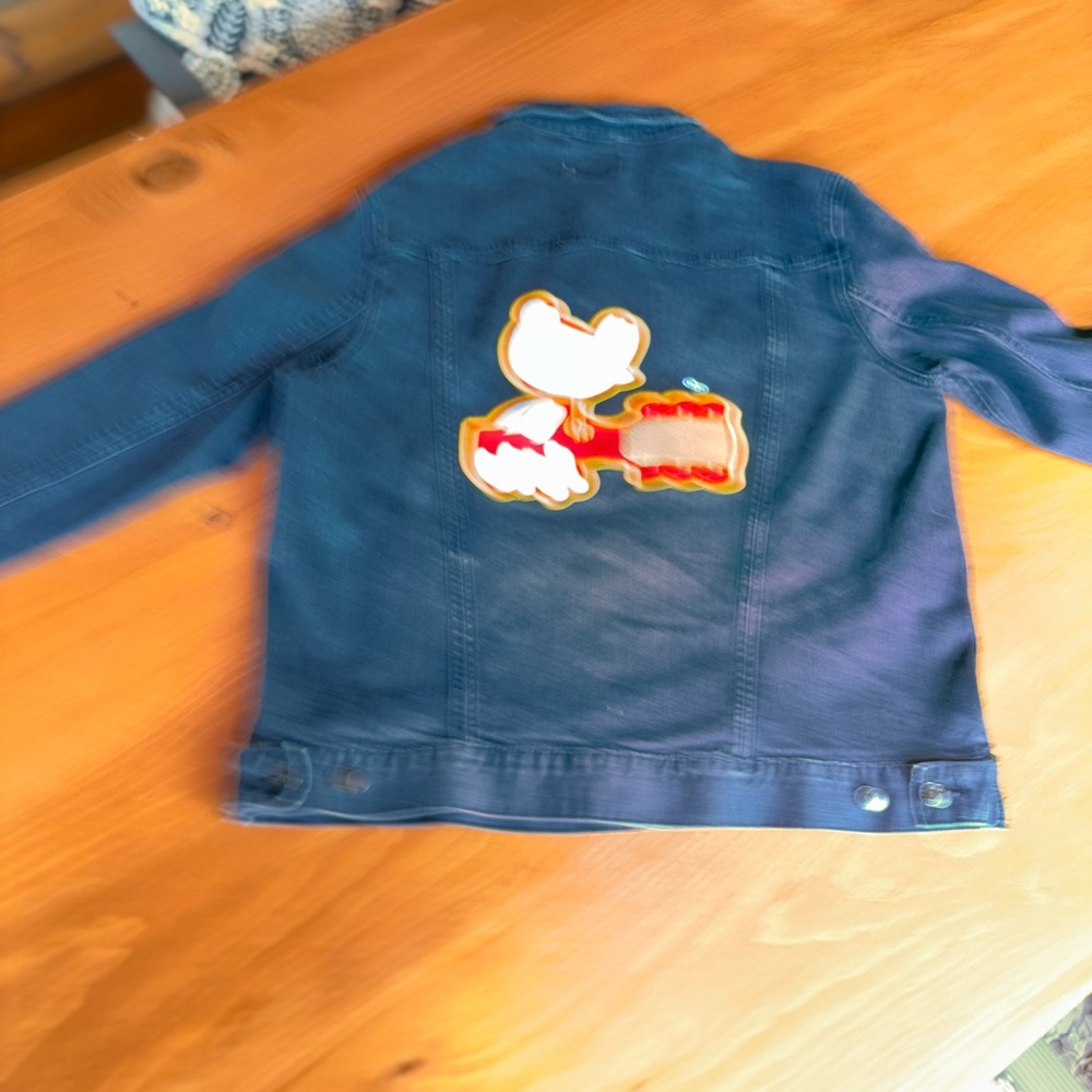 Woodstock Gray/black Denim Jacket. Worn once - Picture 2 of 6